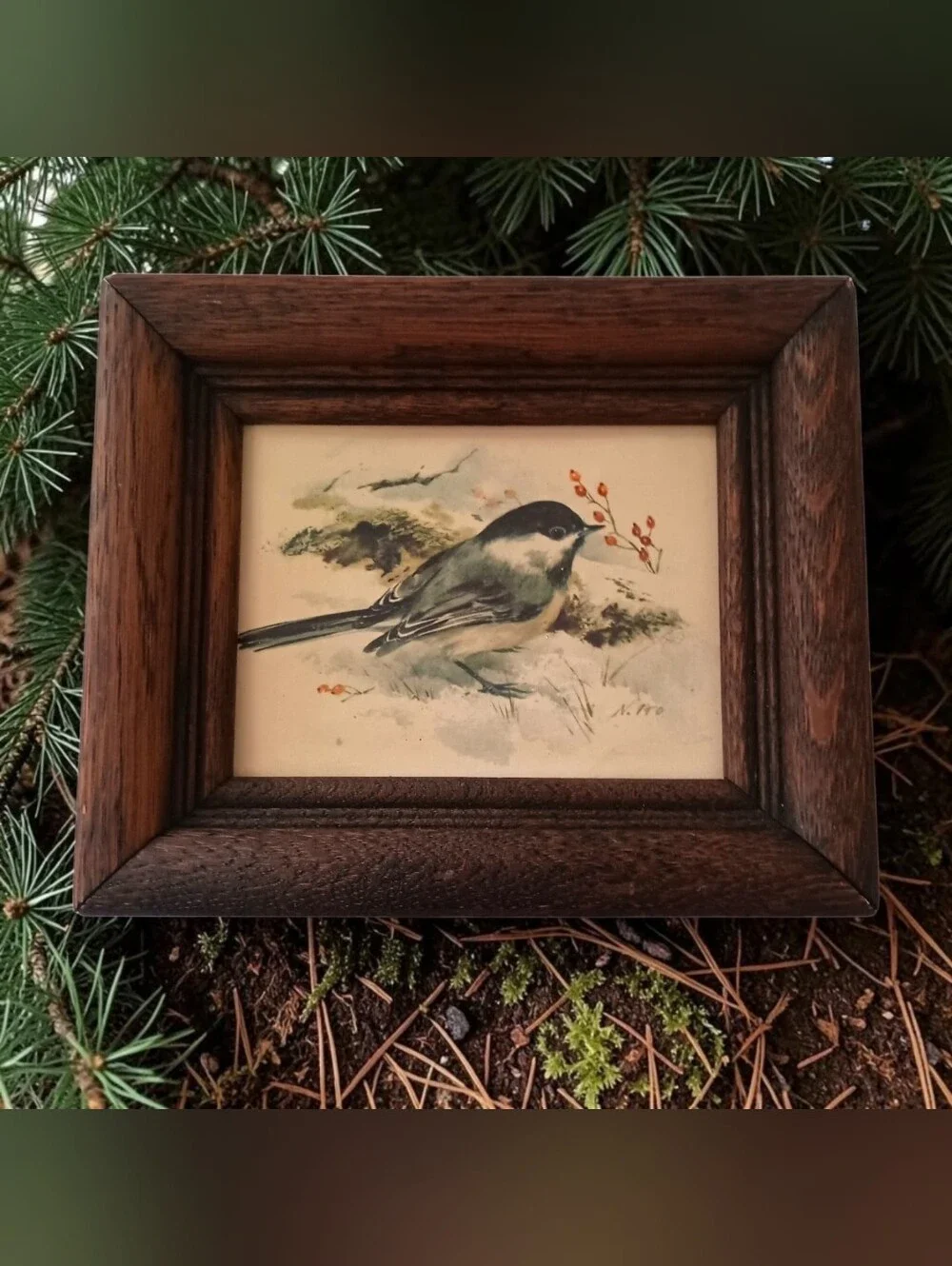 Vtg Mini Framed Chickadee Bird Print Rustic Wood Frame Cottagecore Cabin Decor